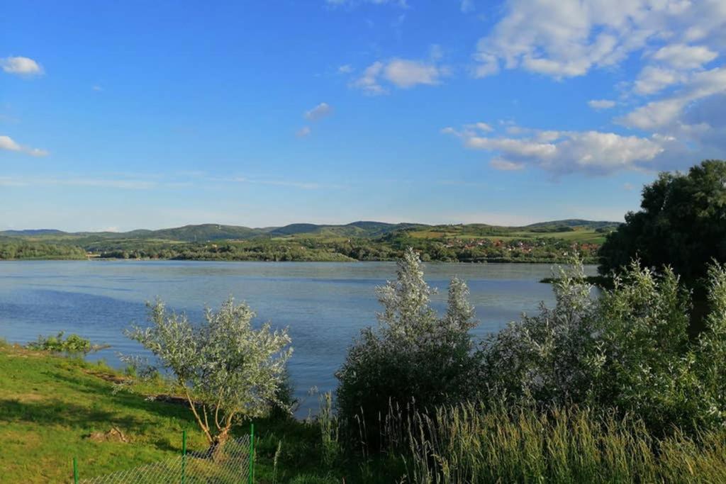 Danube Fairy Villa Futog Exterior photo
